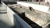 Römische Ausgrabungen Michaelerplatz