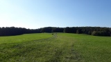 Reiter auf der Eichwiese
