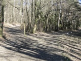 im Maurer Wald