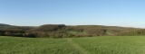 Eichwiese mit Blick auf Maurer Wald und Lainzer Tiergarten