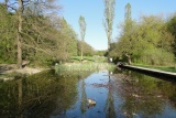Pappelteich