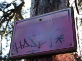 Klettern auf eigene Gefahr - Mizzi-Langer-Wand